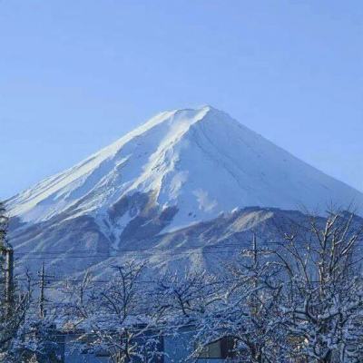 11月17日零时起 进京须持48小时内核酸阴性证明